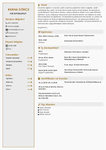 Fizyoterapist Cv Örnekleri cv indir